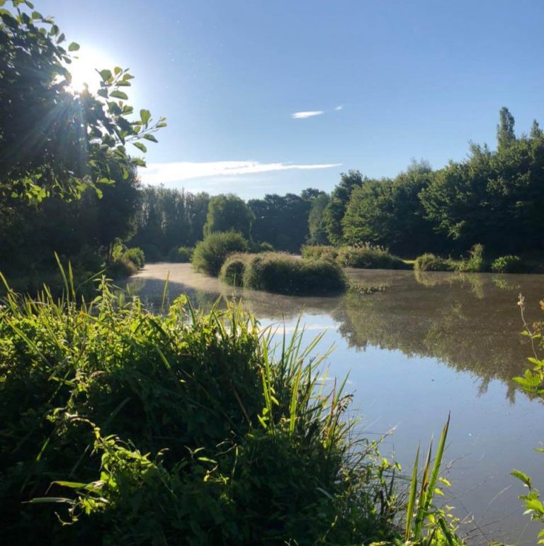 Framfield Park Fishery