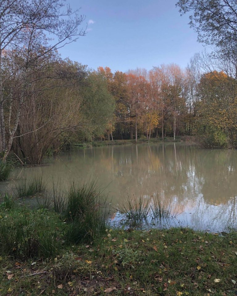 Framfield Park Fishery