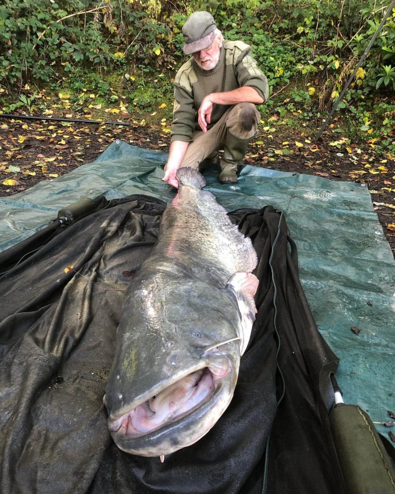 Framfield Park Fishery