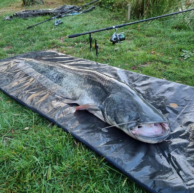 Framfield Park Fishery