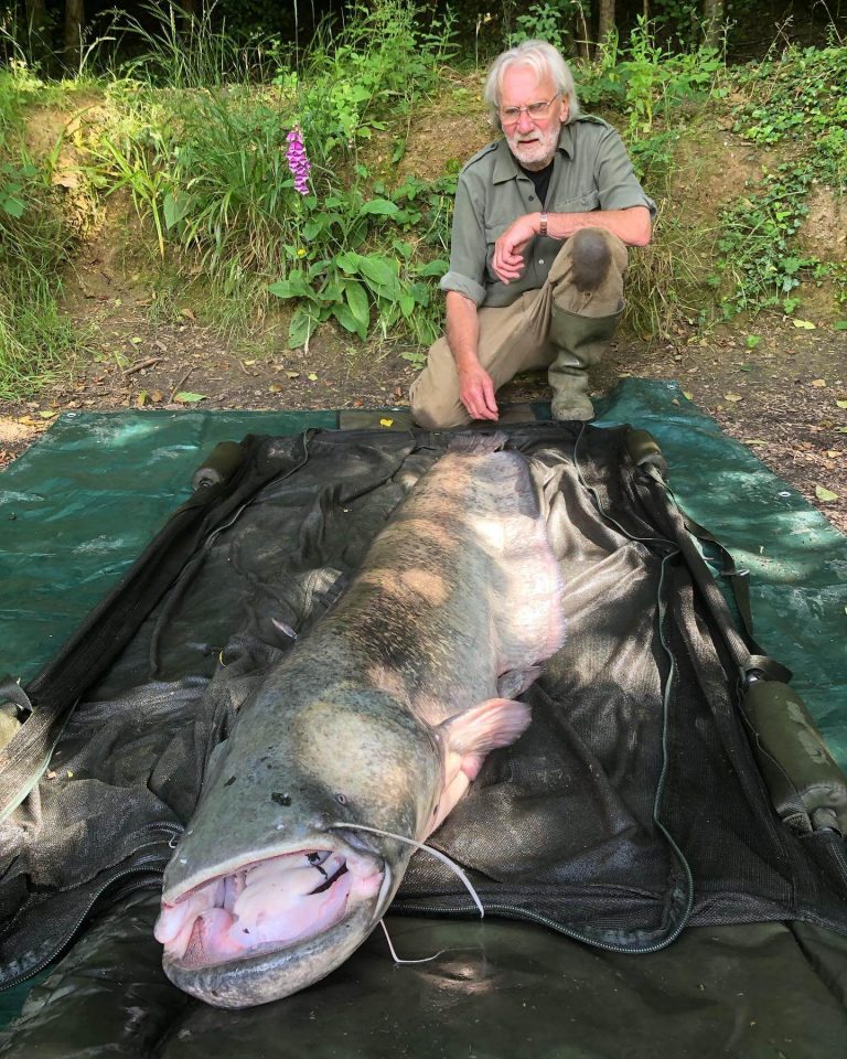 Framfield Park Fishery