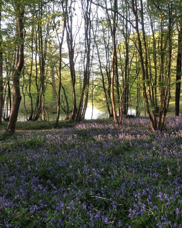 Framfield Park Fishery