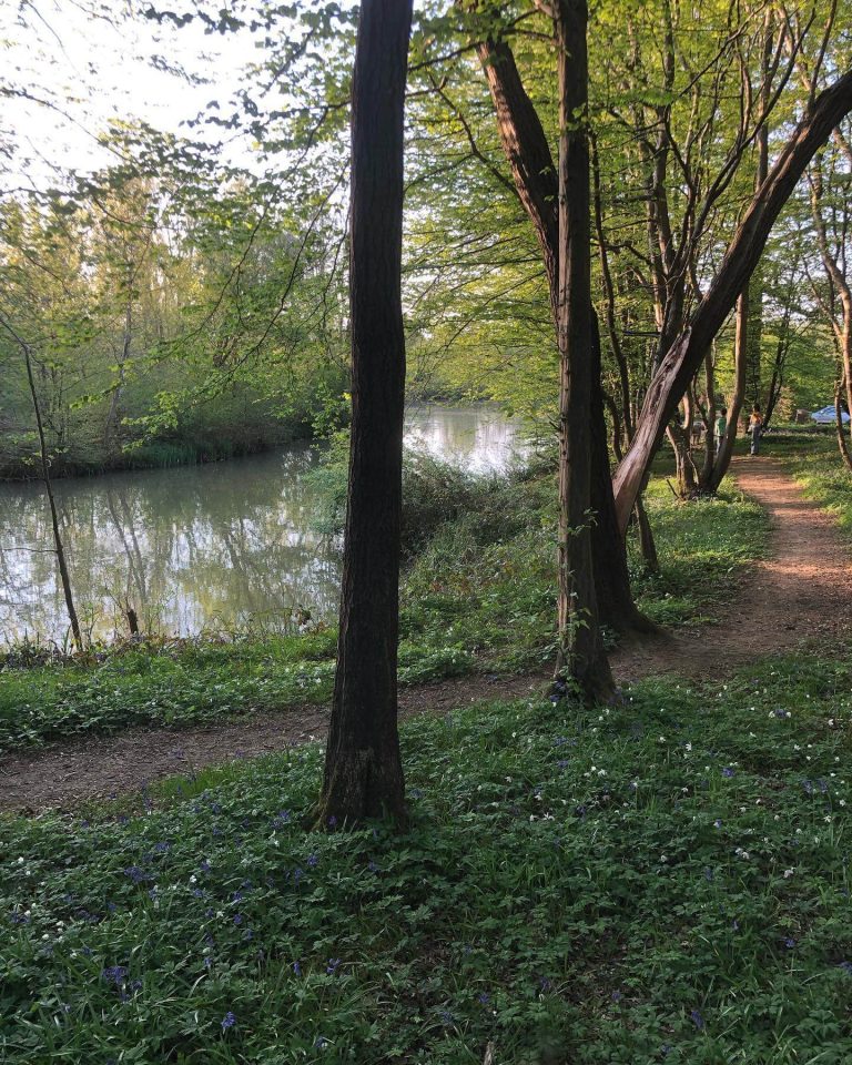 Framfield Park Fishery