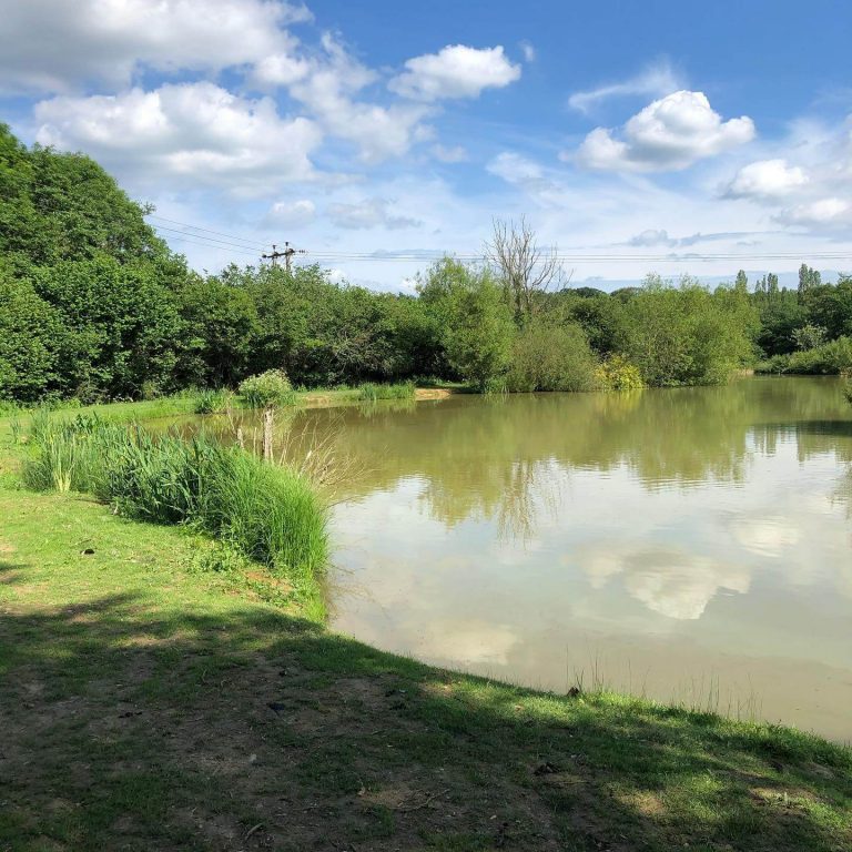 Framfield Park Fishery