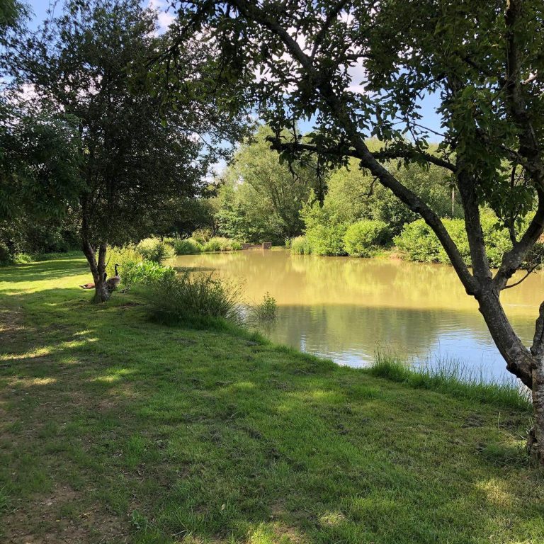 Framfield Park Fishery