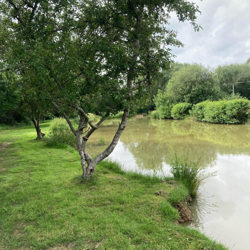 Framfield Park Fishery