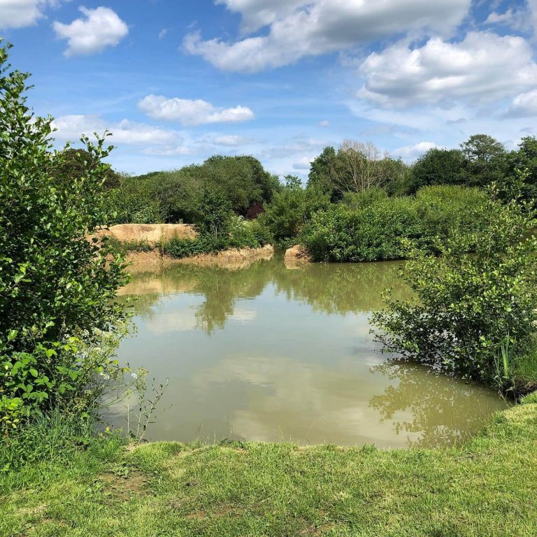 Framfield Park Fishery