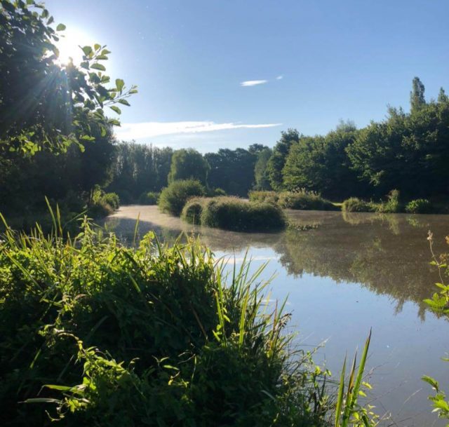 Framfield Park Fishery